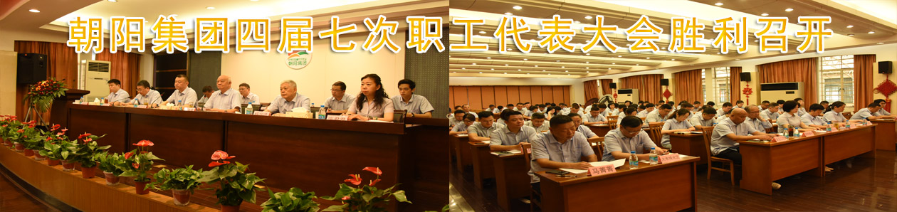 朝陽集團四屆七次職代會勝利召開